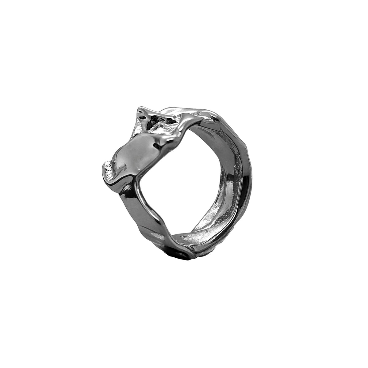 Ring Chasing Fragment(1) Ring – CHASING WORLDWIDE